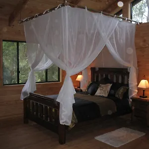Ravensbourne Forest Chalets , Palmtree Australia